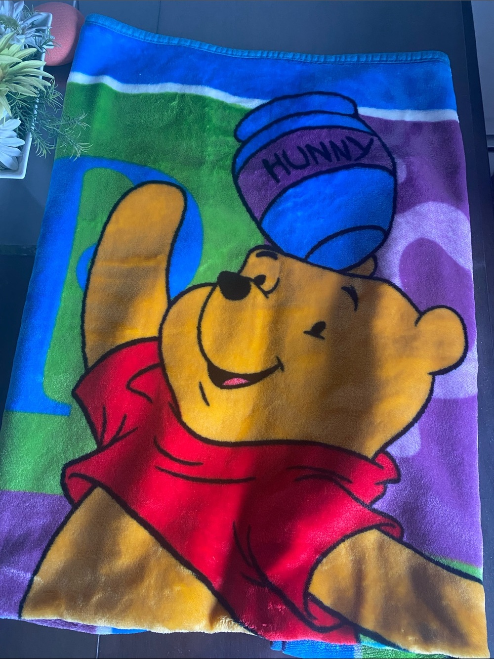 Warm Winnie the Pooh Bear Blanket Crib Single Bed Sheet